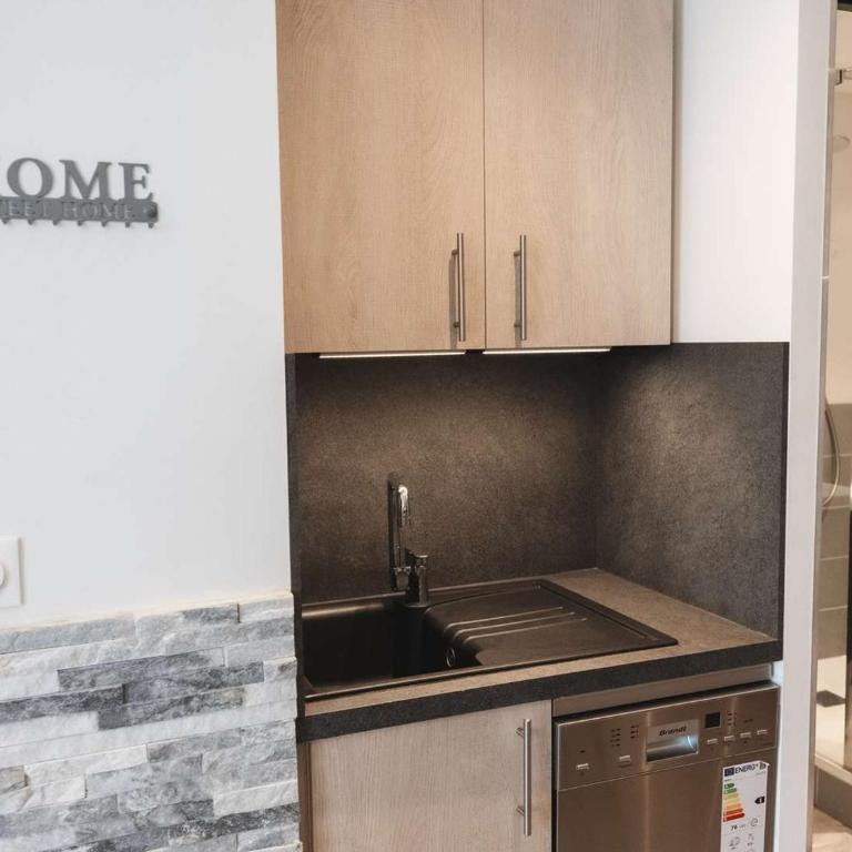 Appartement cosy 4 pers, 2 ch, départ ski aux pieds, exposé sud, proche commerces - FR-1-545-42 - Appartement - 5