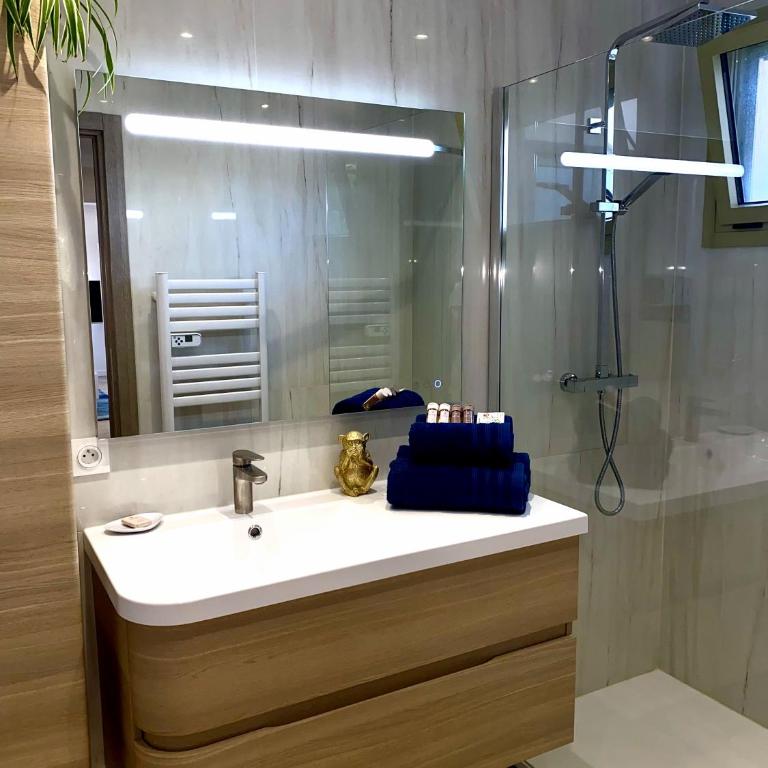 Superbe appartement au calme proche Croisette - One-Bedroom Apartment - 20