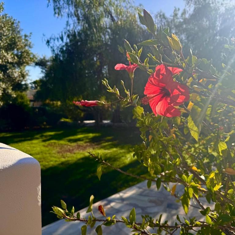Villa Montgo private pool and stunning views - Villa mit 3 Schlafzimmern - 23