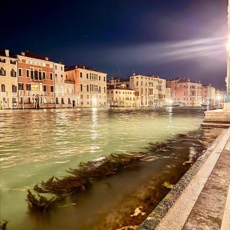 Heart of Venice - Apartment mit 1 Schlafzimmer - 16