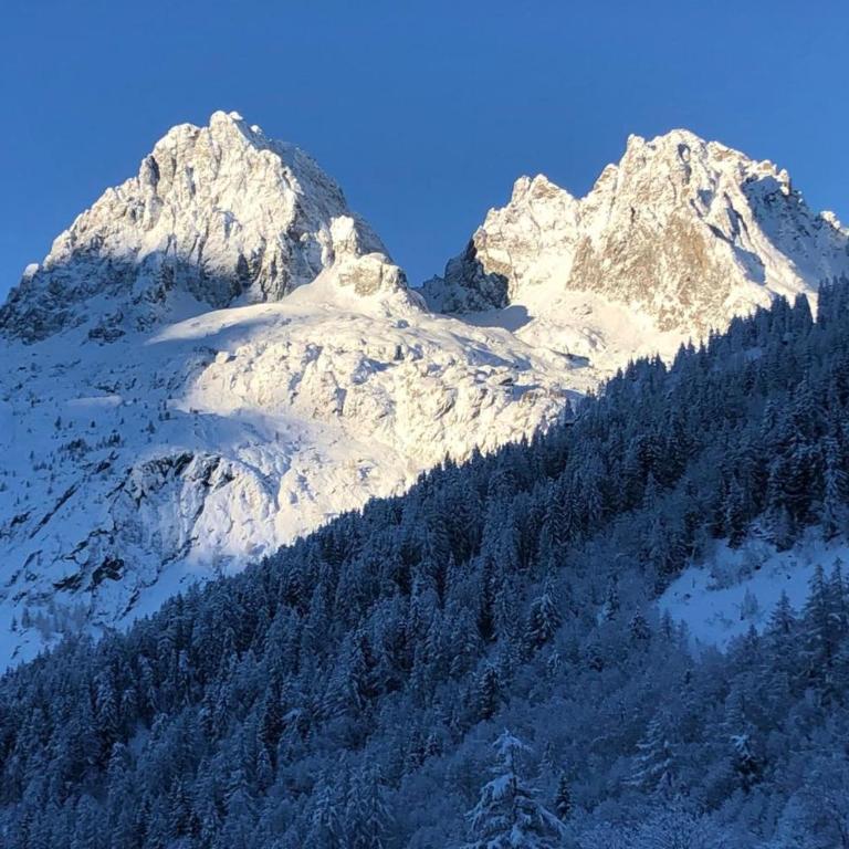 Chalet de 90 m avec jardin à Chamonix Mont-Blanc - Appartement - 30