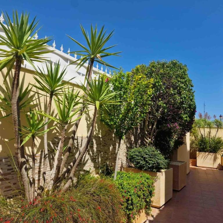 Sea View Altea Hills Solar Heated Pool 4 King Beds - Apartamento - 25