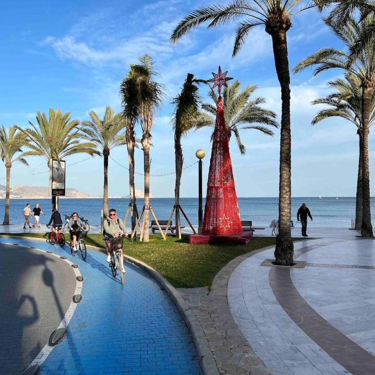 Sea View Altea Hills Solar Heated Pool 4 King Beds - Apartamento - 47