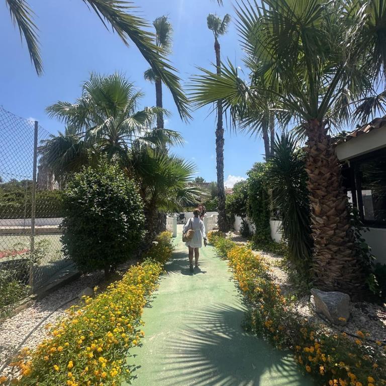 2-Bd House in Torrevieja Lago Jardin - Haus mit 2 Schlafzimmern - 8