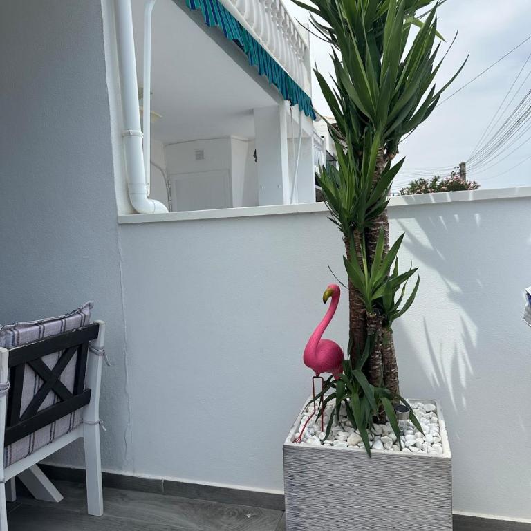 2-Bd House in Torrevieja Lago Jardin - Haus mit 2 Schlafzimmern - 32