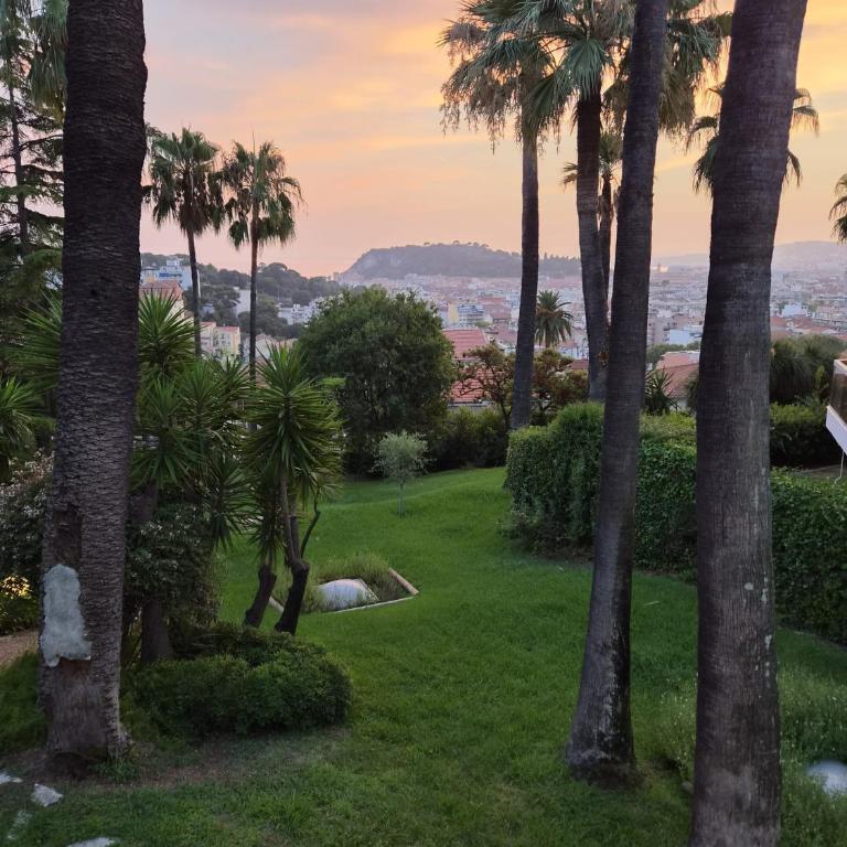 Superbe Appartement Luxueux Mont-Boron - Appartement 1 Chambre - 49