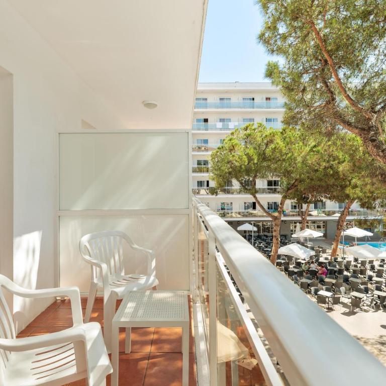 Hotel Best Oasis Park - Chambre Double - 22