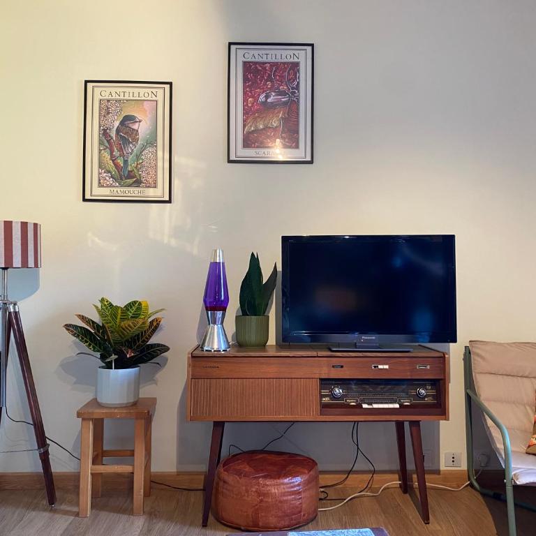 Deux chambres dans le centre de Samoens - Apartment mit 2 Schlafzimmern - 2