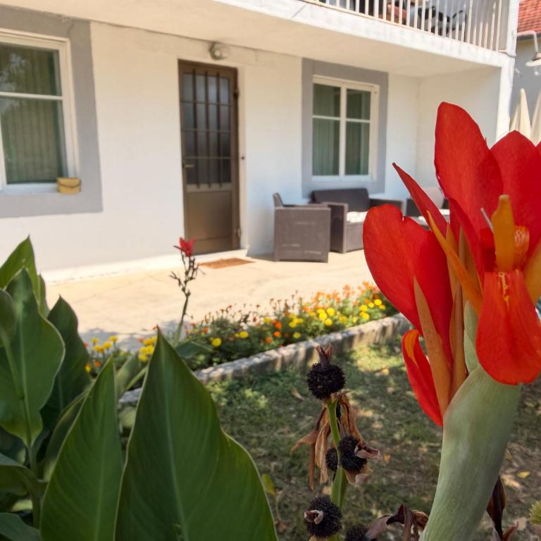 Apartmani Konjević - Apartman sa 1 Spavaćom Sobom - 9