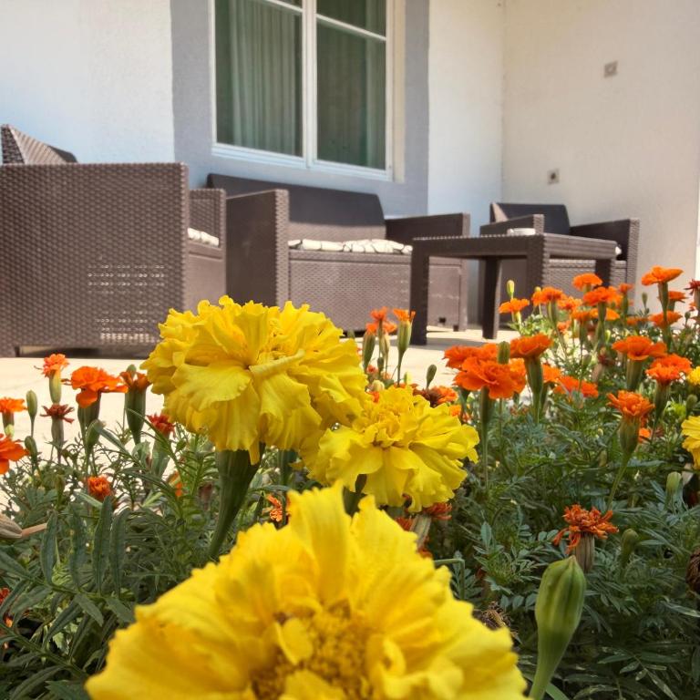 Apartmani Konjević - Apartman sa 1 Spavaćom Sobom - 15