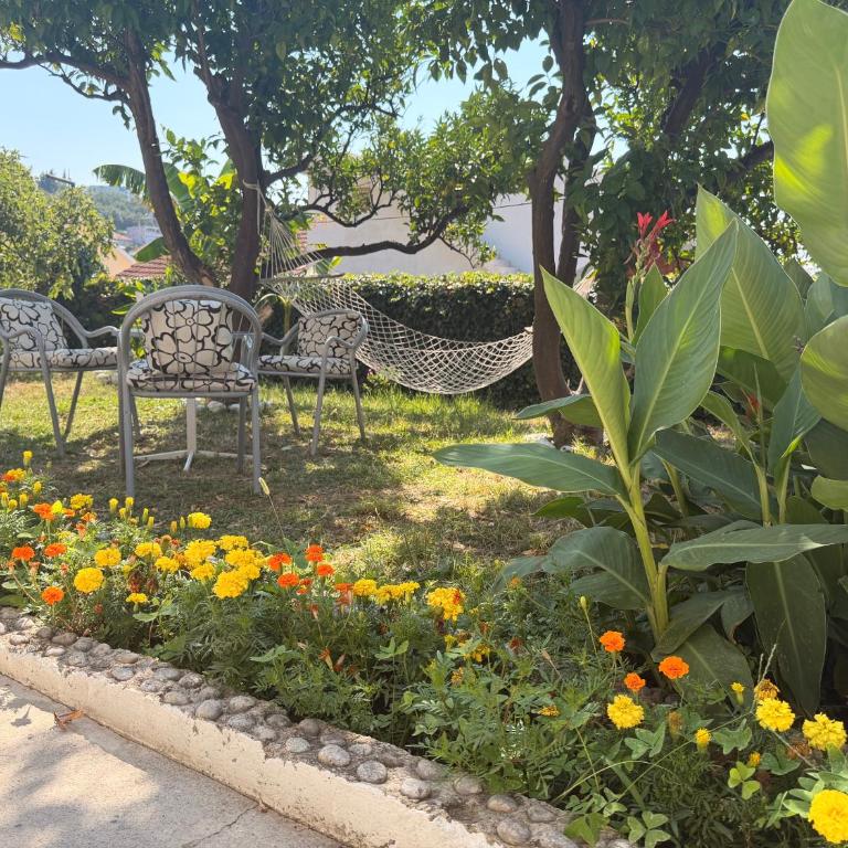 Apartmani Konjević - Apartman sa 1 Spavaćom Sobom - 10