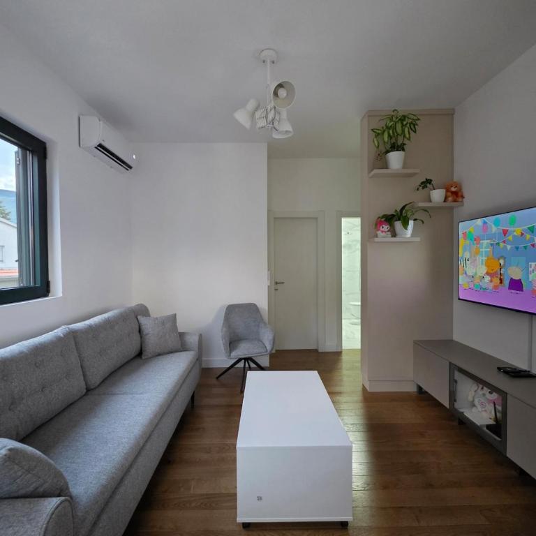 Apartman Lena - u blizini aerodroma - Apartman sa 1 Spavaćom Sobom - 1