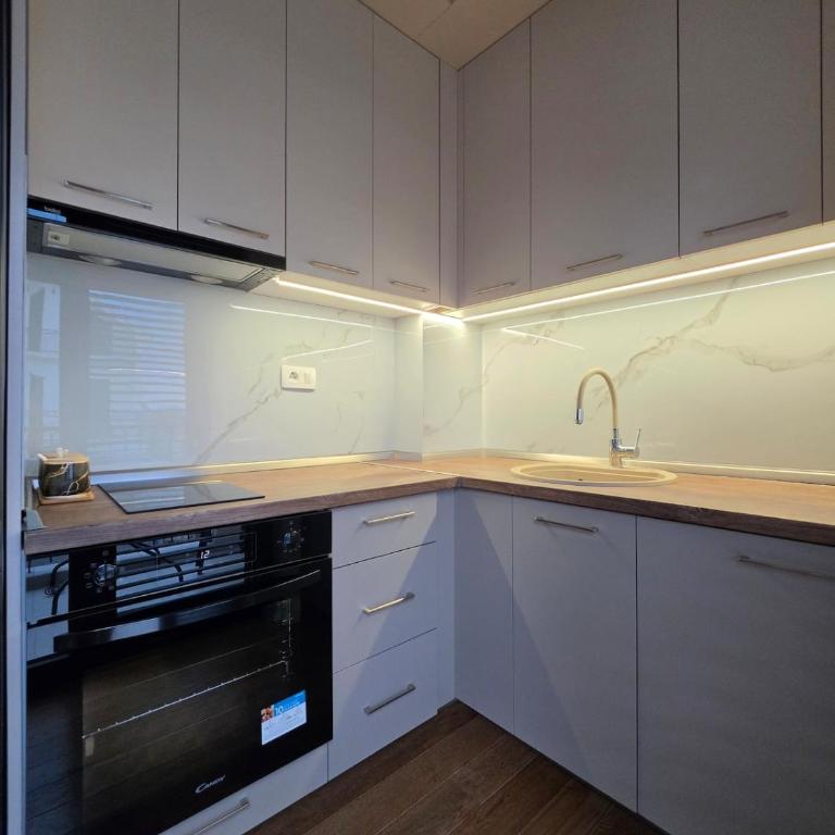 Apartman Lena - u blizini aerodroma - Apartman sa 1 Spavaćom Sobom - 5