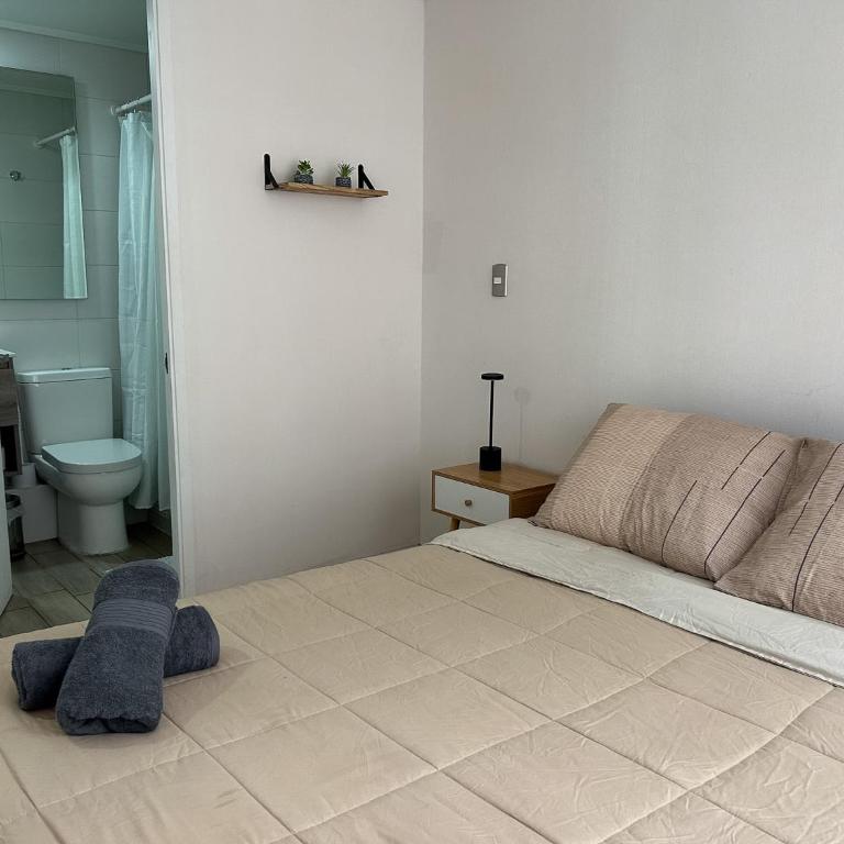 Práctico y Conectado en el Centro de Santiago - A pasos del Metro - Apartamento de 2 dormitorios - 31