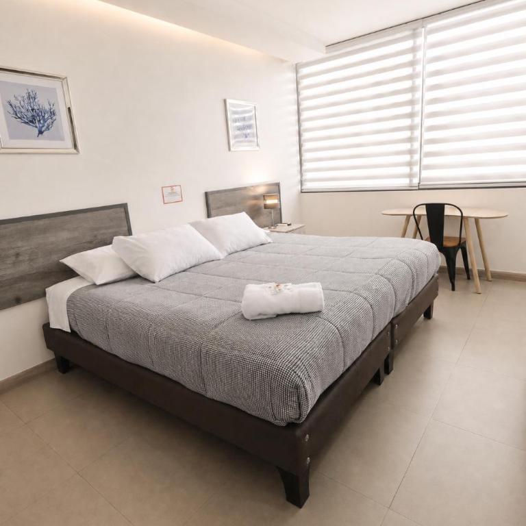 Apart Hotel Regata Iquique - Large Single Room - 1