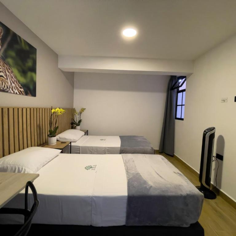 Vita Hotel Boutique - Aire Acondicionado & Desayuno - Double or Twin Room - 1
