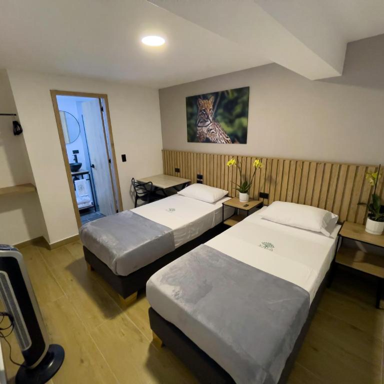 Vita Hotel Boutique - Aire Acondicionado & Desayuno - Double or Twin Room - 3