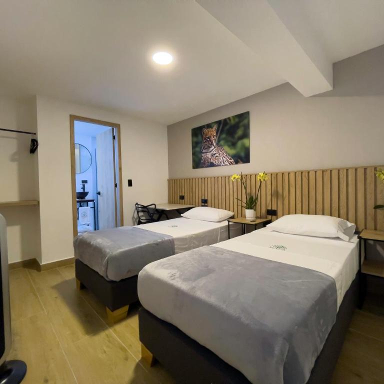 Vita Hotel Boutique - Aire Acondicionado & Desayuno - Double or Twin Room - 4