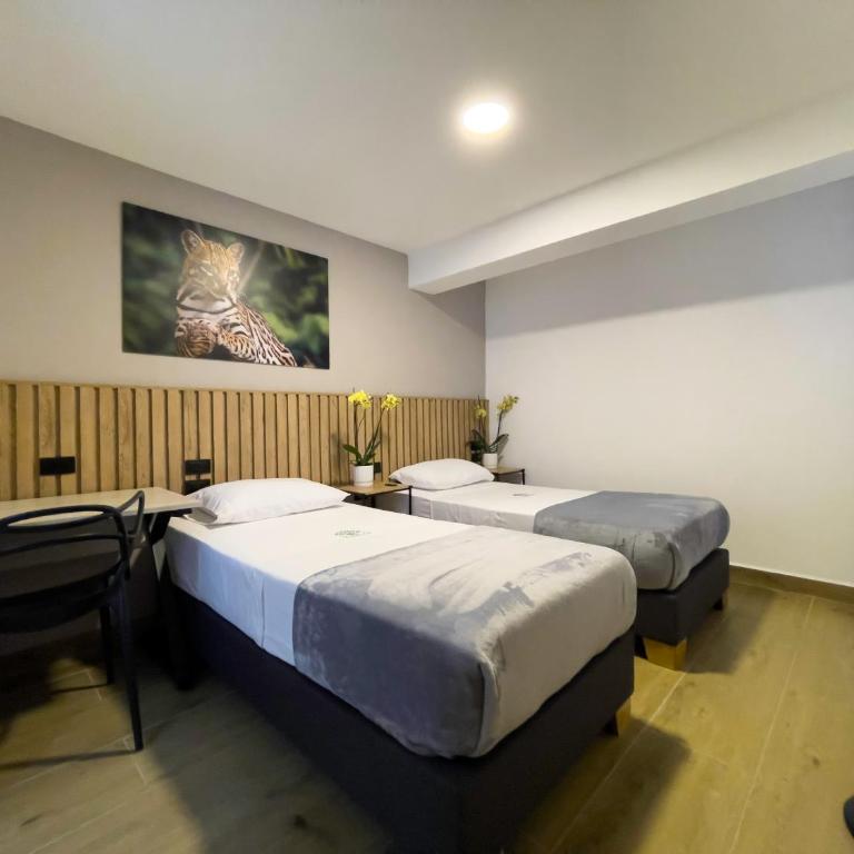 Vita Hotel Boutique - Aire Acondicionado & Desayuno - Double or Twin Room - 5