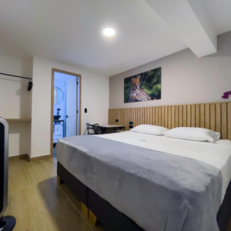 Vita Hotel Boutique - Aire Acondicionado & Desayuno - Double or Twin Room - 9