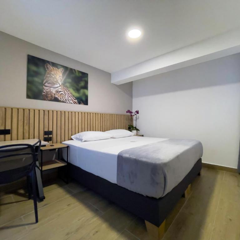 Vita Hotel Boutique - Aire Acondicionado & Desayuno - Double or Twin Room - 11