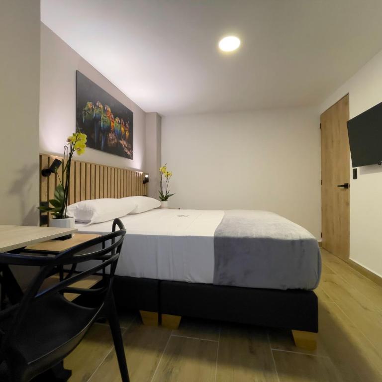 Vita Hotel Boutique - Aire Acondicionado & Desayuno - Deluxe Double Room - 4