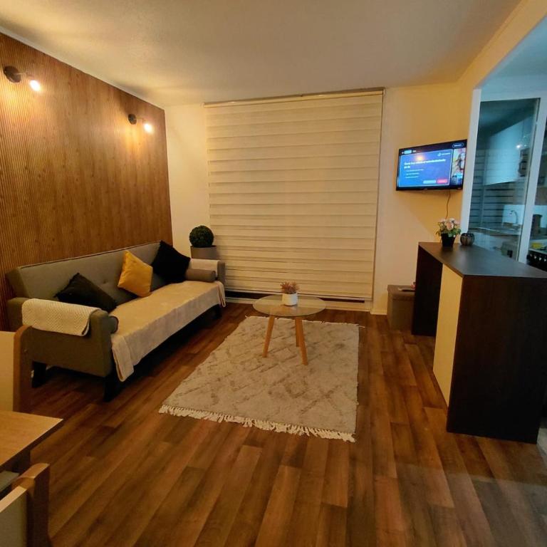 Villarrica Céntrico - Three-Bedroom Apartment - 47