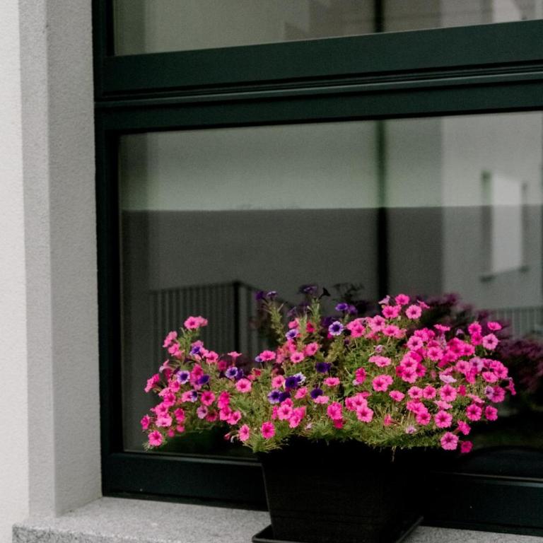 Casa Acero - Private Garden & Relax - Apartment mit 2 Schlafzimmern - 51