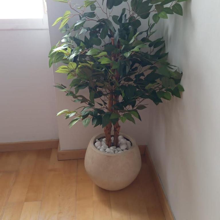 Varela Beach Apartment - Apartamento - 12