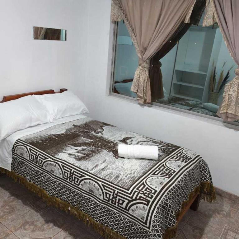 Hostal El Placer - Habitación Individual Estándar - 5