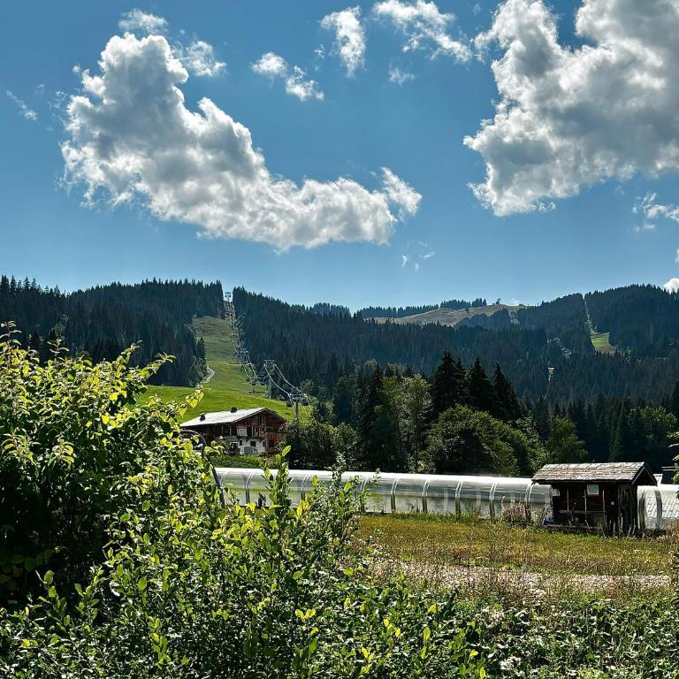 Pieds des pistes & jardin avec vue MontBlanc - terrasse rez de jardin, wifi, parking privé, linge de lit, cuisine équipée - 1 à 4 pers - Appartement 1 Chambre - 21
