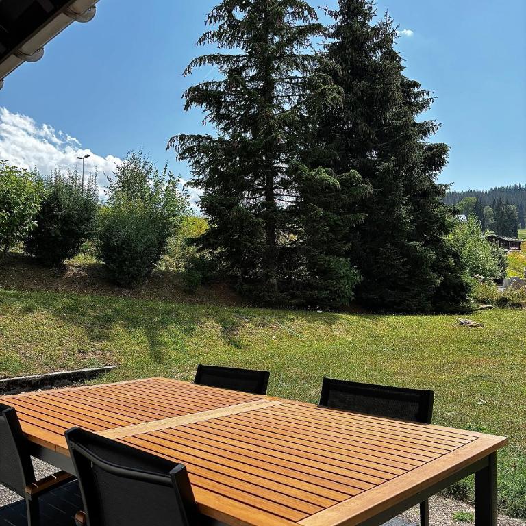 Pieds des pistes & jardin avec vue MontBlanc - terrasse rez de jardin, wifi, parking privé, linge de lit, cuisine équipée - 1 à 4 pers - Appartement 1 Chambre - 3