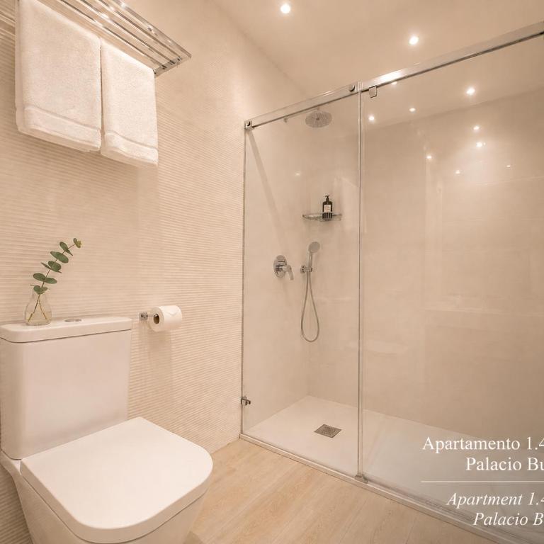 Palacio del siglo XVII frente a los Jardines de Murillo - Apartamento de 1 dormitorio - 15