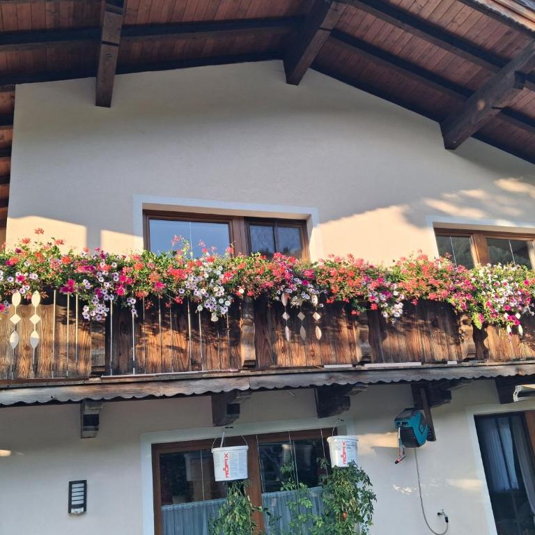 Haus Wildenbach - Apartment mit Terrasse - 2