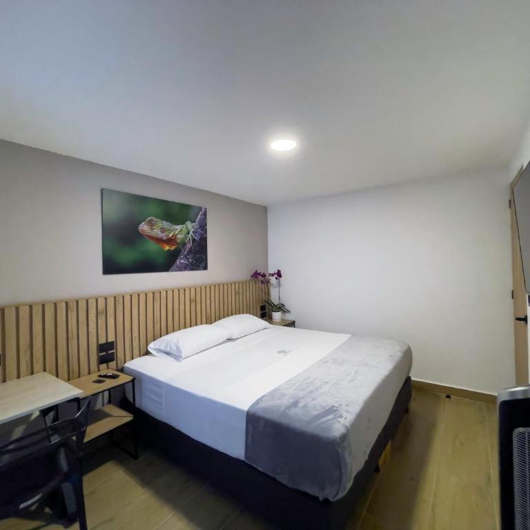 Vita Hotel Boutique - Aire Acondicionado & Desayuno - Double or Twin Room - 15
