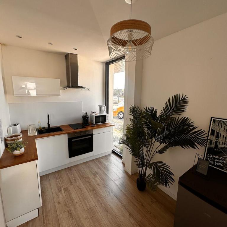 Appartement climatisé avec terrasse et parking - Apartment mit 1 Schlafzimmer - 3