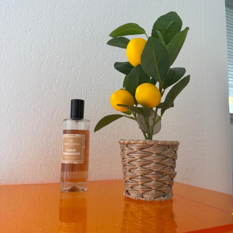 Lemon Sea - Apartamento de 1 dormitorio - 4