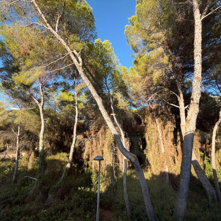 Apartamento, Playa El Saler - Valencia - Apartment mit 1 Schlafzimmer - 8