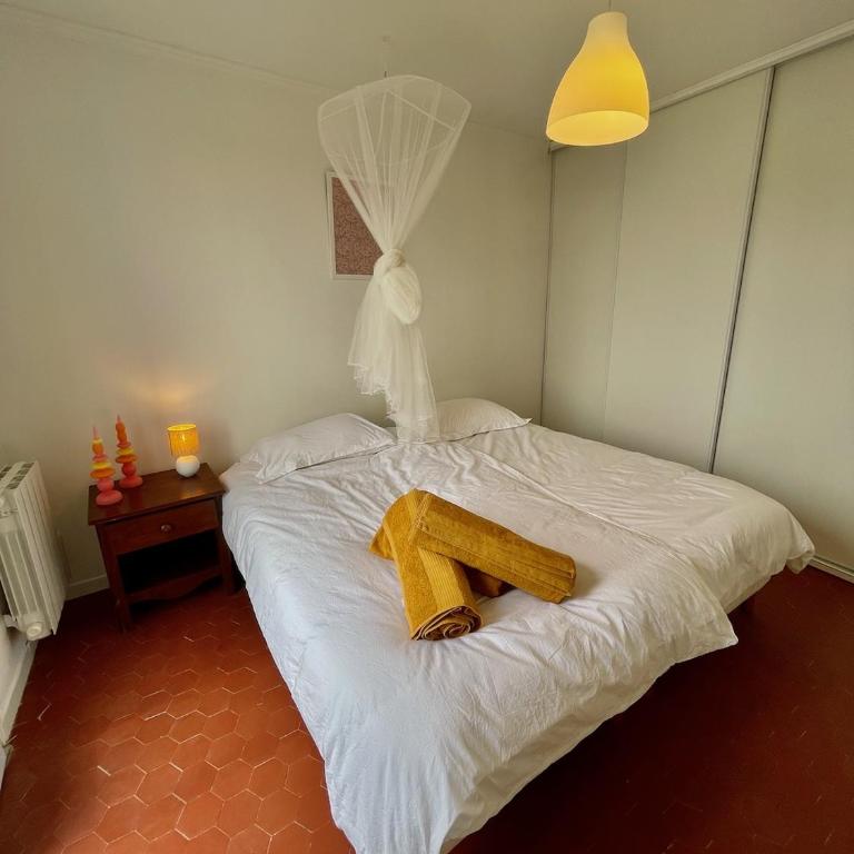 Le Dôme - Appartement 1 Chambre - 6