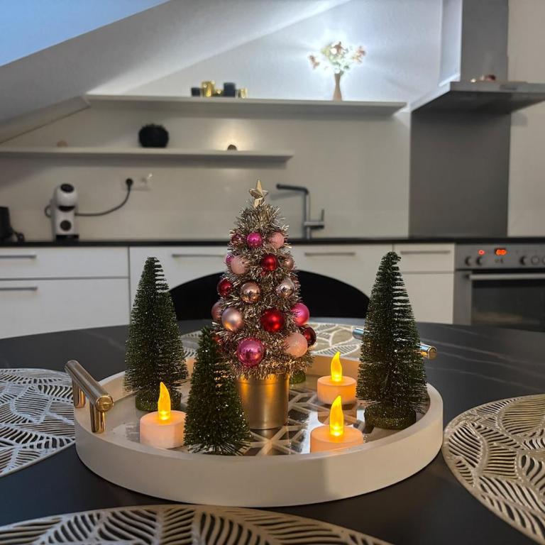 La magie de Noël à Colmar - Appartement 2 Chambres - 14