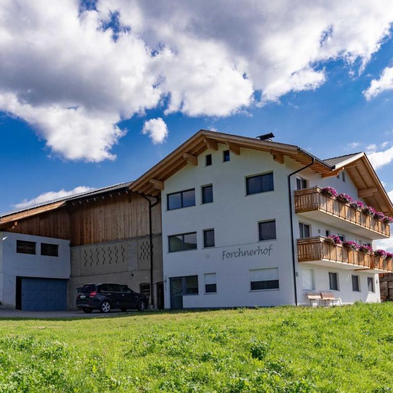 Forchnerhof Apt Ploseblick - Deluxe-Apartment mit 2 Schlafzimmern und Gartenblick - 1