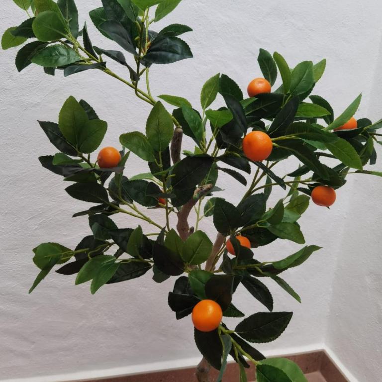 Casa Naranja - Apartamento de 1 dormitorio - 50