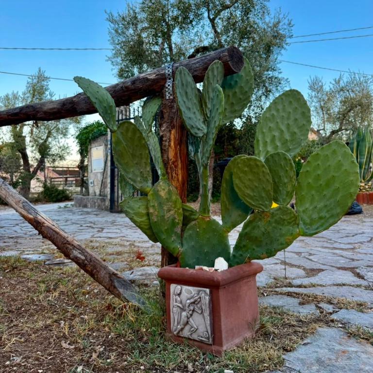 Domus Vestae - Casa a Schiera con 2 Camere da Letto - 8