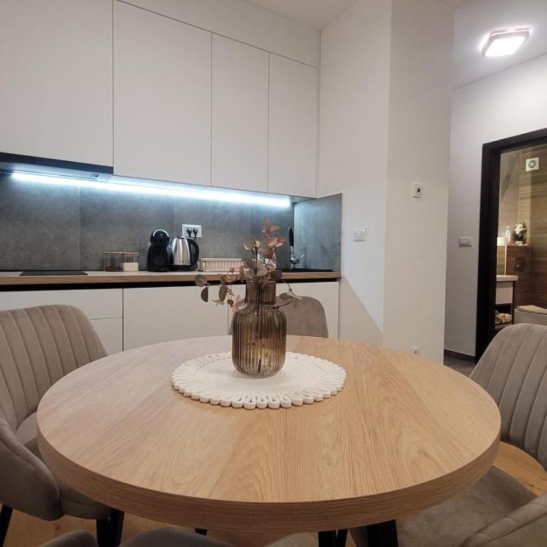 Apartman Lux 4 Titova Vila Zlatibor - Appartement 1 Chambre - 12