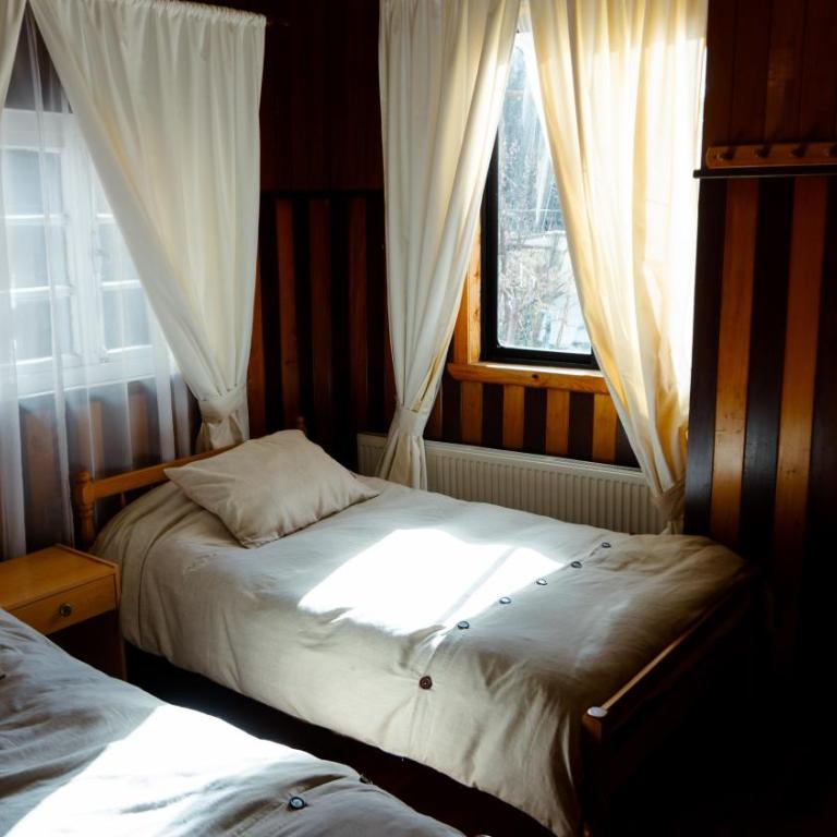 Casona Peumayen - Habitación Doble con baño privado - 2 camas - 1