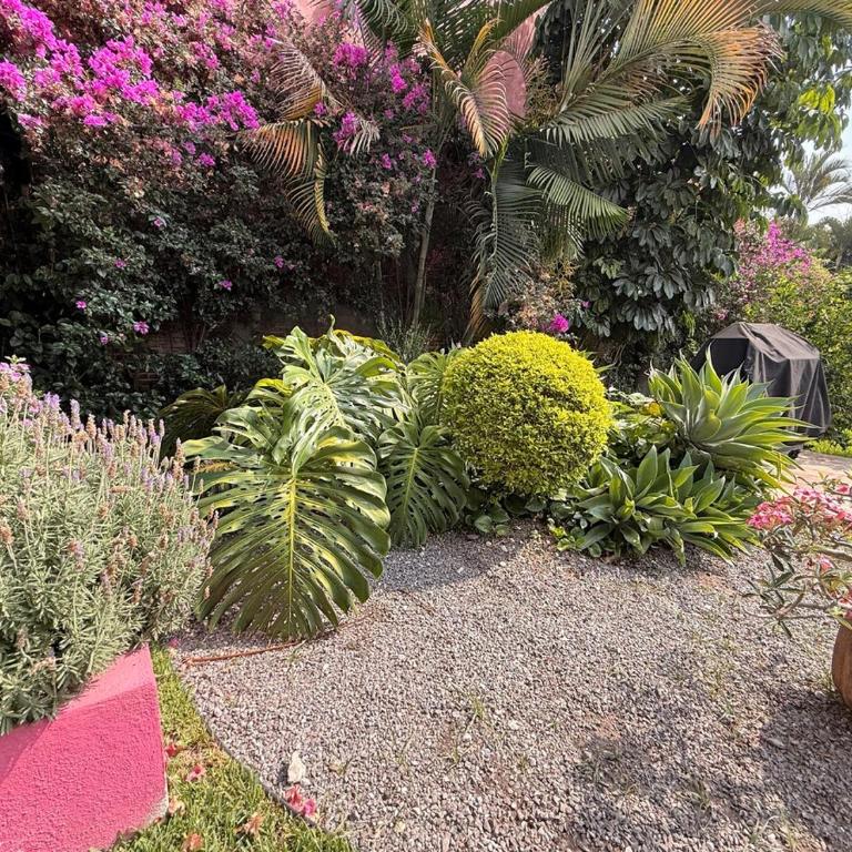 5 bedrooms, ground floor, heated pool, Golden Zone - Villa - 11