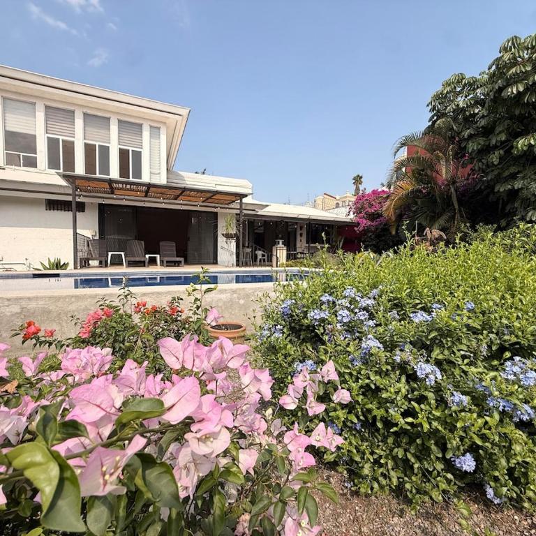 5 bedrooms, ground floor, heated pool, Golden Zone - Villa - 41