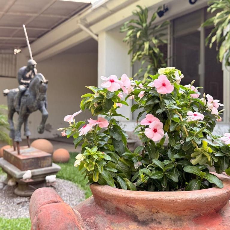 5 bedrooms, ground floor, heated pool, Golden Zone - Villa - 48