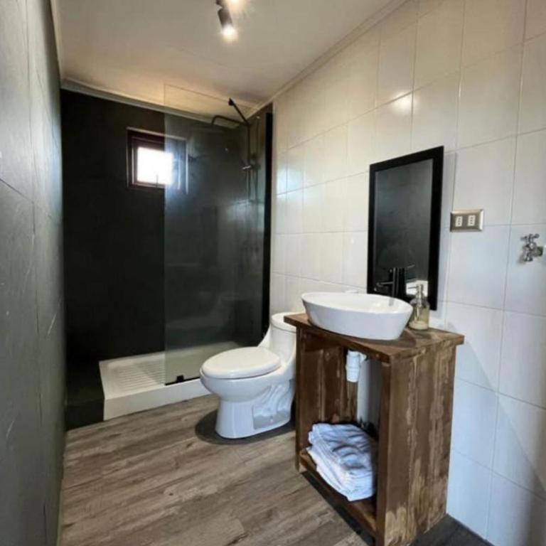 Fressia - Two-Bedroom Apartment - 5