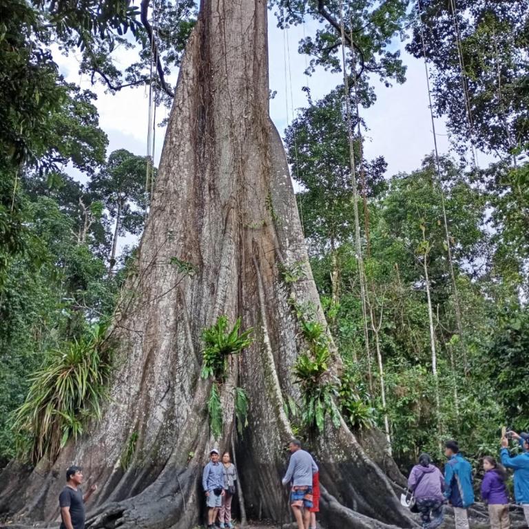 Amazon Lodge and Expeditions - Bungalow - Frente al agua - 28
